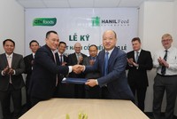 Hanil Feed Kl99ok phiên bản mới vào GTN