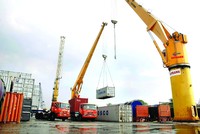Rà soát cam kết TPP để tránh đáo tụng đình 