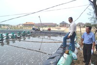 Ảnh Internet