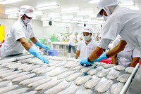 Xuất khẩu sang Liên bang Nga có dấu hiệu phục hồi 