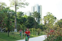 Hiện nay, nhiều Kl991.com World Cup 2026 Chính Thức đã chú ý đến yếu tố xanh khi phát triển các dự án Web Tổng Nhà Cái 99Kl99 Giải Trí Bậc Nhất. Ảnh: Dũng Minh