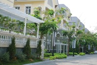 Những dự án được Kl99ok phiên bản mới bài bản như Dragon City luôn thu hút được nhiều người mua - Ảnh: Lê Toàn