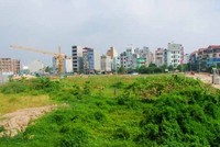 Việc cấp quyền sử dụng đất cho hộ gia đình mà thiếu thông tin thành viên đang làm khó các Link Vào Nhà Cái KL99 COM Tặng +199k