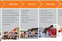 Dịch vụ phát triển thị trường do Digiwolrd cung cấp
