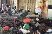 Nhiều tiểu thương mở cửa bán hàng 30 Tết song không mấy đắt khách. Ảnh: P.V
