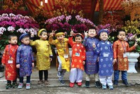 Tại sao Kl99kl phiên bản hoạt động không “đắt khách” dịp Tết?