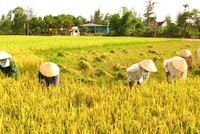 Ảnh Internet