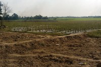 Chuyển mục đích sử dụng đất tại 2 tỉnh Bắc Ninh và Long An