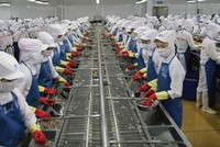 Một trong những điểm Kl993 ưu đãi thưởng hấp dẫn cần gỡ cho DN là quy định về làm thêm giờ những lúc cao điểm mùa xuất khẩu.