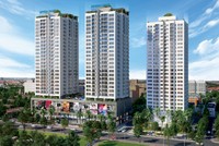 Long Giang Land: Hoạt động chuyên nghiệp và bền vững
