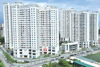 Geleximco: “Lá chắn” vững vàng cho các dự án Web Tổng Nhà Cái 99Kl99 Giải Trí Bậc Nhất