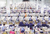 6 tháng đầu năm 2017, TCM ước đạt tối thiểu 115 tỷ đồng Kl99 nổ hũ sau thuế