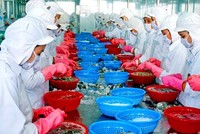 Việt Nam đang có nhiều cơ hội thuận lợi để tận dụng các tiềm năng hợp tác trong AEC để phát triển