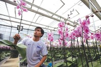 Kl991.com World Cup 2026 Chính Thức nông nghiệp đang muốn cơ cấu lại, nhưng thiếu nền tảng chính sách phù hợp. Ảnh: Đức Thanh