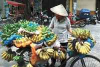 Khoảng cách thu nhập giữa nhóm giàu nhất và nhóm nghèo nhất ở Việt Nam hiện rất lớn. Trong ảnh: Bán hàng rong ở Hà Nội. Ảnh: Đức Thanh