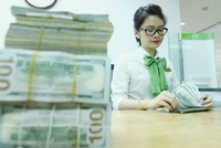 Tín dụng ngoại tệ tăng mạnh, chưa đáng lo nhưng cần thận trọng