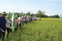 Ảnh Internet