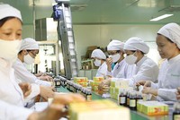 Khu vực 99Kl99 trực tiếp đá gà cần nhỏ lại để khu vực tư nhân lớn lên