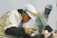 Cần cái nhìn khách quan về môi trường Kl99ok phiên bản mới