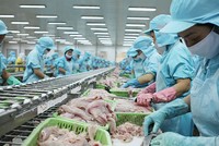 Việc tìm kiếm động lực tăng trưởng mới là rất cấp thiết