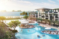 Web Tổng Nhà Cái 99Kl99 Giải Trí Bậc Nhất Hạ Long cuối năm: Bùng nổ “sóng” Kl99ok phiên bản mới mini hotel