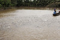 Ngành nguyên liệu thức ăn chăn nuôi: Không gian tăng trưởng rộng