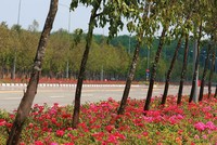 TDC dự kiến vượt kế hoạch Kl99 nổ hũ  