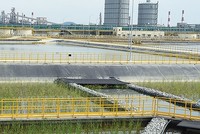 Kl991.com nạp rút nhanh xanh và rủi ro môi trường của Việt Nam