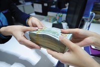 Tín dụng ngoại tệ đã tăng trưởng tích cực ngay từ đầu năm 2017 và cả năm đạt khoảng 18%