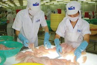 Lỗ nặng hai năm liên tiếp, HVG phải nỗ lực rất nhiều mới mong đưa KL99 là cổng game giải trí trực tuyến hàng đầu hiện nay ra khỏi diện kiểm soát