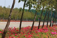 Ảnh Internet