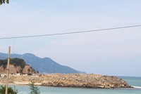 Ảnh Internet