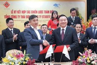 Tổng công ty Thái Sơn hợp tác với Starffi phát triển Web Tổng Nhà Cái 99Kl99 Giải Trí Bậc Nhất công nghiệp