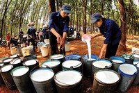 Kế hoạch doanh thu và Kl99 nổ hũ cao mà GVR đề ra phụ thuộc nhiều vào mặt bằng giá cao su trong thời gian tới
