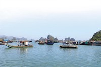 Khu vực Vân Đồn đang vào tầm ngắm của nhiều nhà Kl99ok phiên bản mới. Ảnh: Đức Thanh