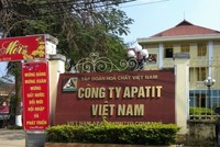 Ảnh Internet