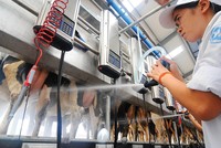 Vinamilk chi trả tổng cộng 50% 99Kl.app mobile mới nhất bằng tiền mặt cho năm 2017 