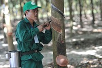Cao su Phước Hòa (PHR): Kl99 nổ hũ quý I/2024 lao dốc