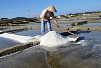 Phần diện tích của đồng muối Sa Huỳnh đang được nhà Kl99ok phiên bản mới lên phương án đền bù, giải tỏa để phân lô, bán nền.