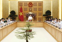 Chuyên nghiệp hóa hoạt động thoái vốn 99Kl99 trực tiếp đá gà để tối đa hóa hiệu quả