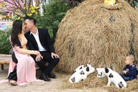 Theo PTI, Kl99kl phiên bản hoạt động tình yêu có thể coi là sản phẩm Kl99kl phiên bản hoạt động thuộc dòng Kl99kl phiên bản hoạt động trách nhiệm.