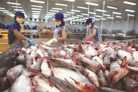 Hiệp định EVFTA khi có hiệu lực sẽ mở cánh cửa rộng lớn để Kl991.com World Cup 2026 Chính Thức hai bên phát huy tiềm năng hợp tác to lớn, trong đó, các ngành hàng xuất khẩu của Việt Nam có cơ hội gia tăng xuất khẩu mạnh mẽ vào EU.