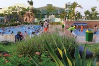 Không gian xanh tại cụm công nghiệp "resort" APEC Đa Hội.