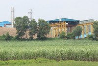 Ảnh Internet