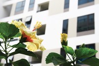 Không gian sống xanh tại Valencia Garden