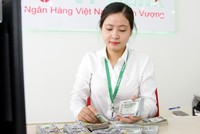 Tại Việt Nam, tỷ giá vẫn tương đối ổn định, làn sóng rút vốn ồ ạt đã không diễn ra như tại một số nước khác. Ảnh: Đức Thanh