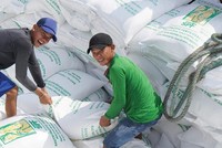 Nghị định 107/2018/NĐ-CP về Kl992 VIP Trang Chủ 2026 xuất khẩu gạo không bắt Kl991.com World Cup 2026 Chính Thức phải sở hữu kho chứa, cơ sơ xay xát mới được xuất khẩu gạo. Ảnh: Đức Thanh