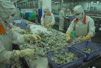 Từ 01/01/2019, Kl991.com World Cup 2026 Chính Thức Việt Nam xuất khẩu hàng hóa sang EU sẽ phải tự chứng nhận xuất xứ hàng hóa mới được hưởng chế độ ưu đãi thuế quan phổ cập (GSP) C/O form A.