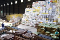 Xuất khẩu gạo đang được đề nghị loại bỏ khỏi danh mục ngành, nghề Kl992 VIP Trang Chủ 2026 có điều kiện. Ảnh: Đức Thanh