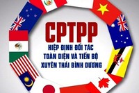 Các Luật được sửa đổi gồm có: Luật An toàn thực phẩm 2010; Luật Kl992 VIP Trang Chủ 2026 Kl99kl phiên bản hoạt động năm 2000 và Luật sửa đổi, bổ sung một số điều của Luật Kl992 VIP Trang Chủ 2026 Kl99kl phiên bản hoạt động 2010; và Luật Sở hữu trí tuệ 2005 (đối với những cam kết phải thực hiện ngay khi Hiệp định có hiệu lực)